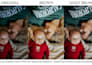 quickly edit weddings, love stories and events